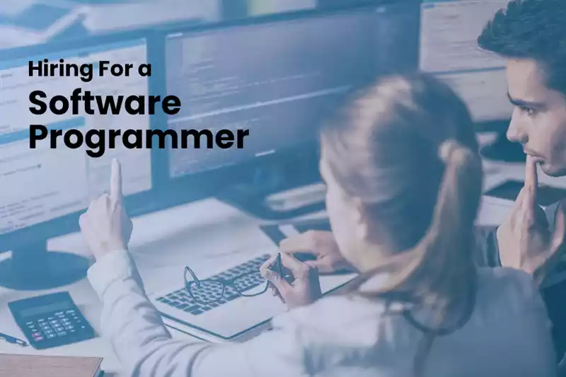 Software Programmer