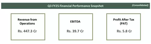 Q3 FY25 Financial Performance Snapshot